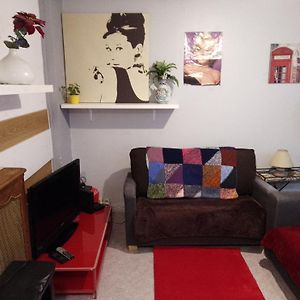 Guesthouse Familial Pour 1 A 5 Personnes De 42M2-Rez De Chaussee-Vues Sur Rue Et Patio Prive Ombrage - Sejour,Chambre Separee,Cuisine,Salle De Bain,Lit Double Et 2 Canapes Lits Depliant - Entree Cote Rue Berzelius-5 Minutes Du Metro Brocante ,Bus 31,